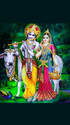 राधा कृष्ण फोटो गैलरी hd