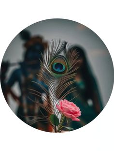 love radha krishna dp